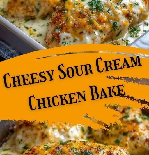 Creamy Sour Cream Chicken Bake dish served hot with herbs and spices
