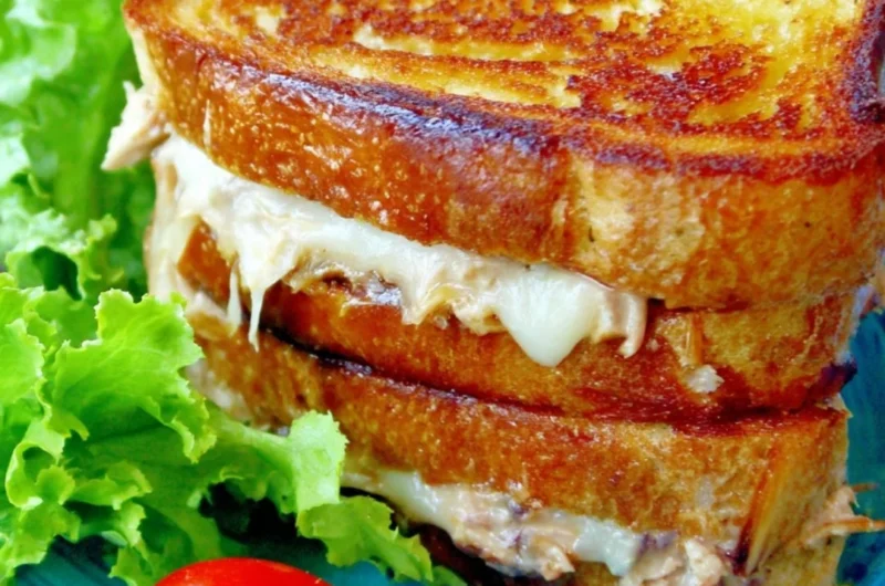 Delicious tuna melt on toasted bread with cheese and herbs