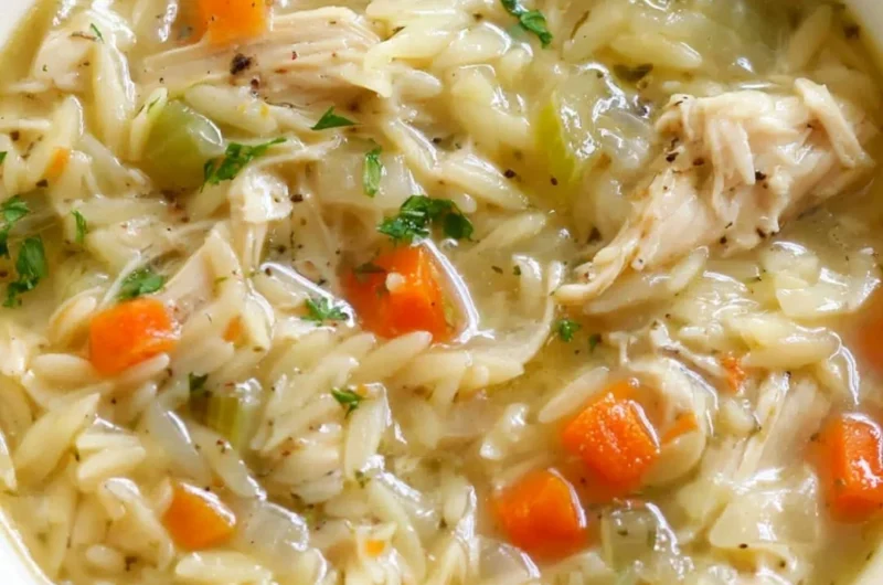 Bowl of Lemon Chicken Orzo Soup with fresh herbs and lemon slices